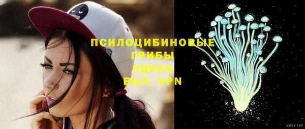 винт Балахна