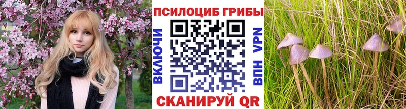 Псилоцибиновые грибы мухоморы  Обь 